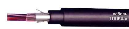 Кабель ТППКШв 10х2х0,4
