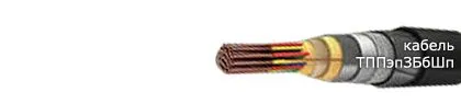 Кабель ТППэпЗБбШп 300х2х0,64